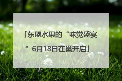 东盟水果的“味觉盛宴”6月18日在邕开启