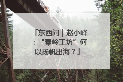 东西问｜赵小峰：“秦岭工坊”何以扬帆出海？