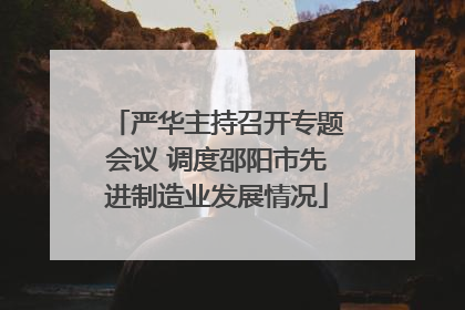 严华主持召开专题会议 调度邵阳市先进制造业发展情况