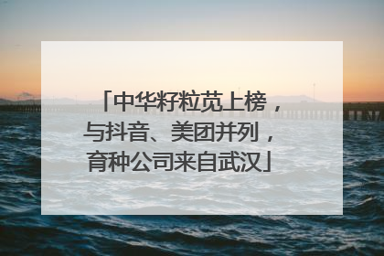 中华籽粒苋上榜，与抖音、美团并列，育种公司来自武汉