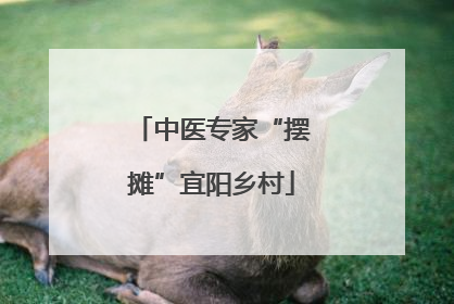 中医专家“摆摊”宜阳乡村