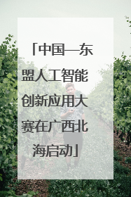 中国—东盟人工智能创新应用大赛在广西北海启动