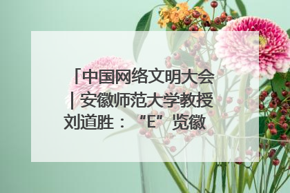 中国网络文明大会｜安徽师范大学教授刘道胜：“E”览徽风，构筑中华民族共有精神家园