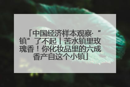 中国经济样本观察·“镇”了不起丨苦水镇里玫瑰香！你化妆品里的六成香产自这个小镇