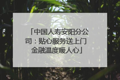 中国人寿安阳分公司：贴心服务送上门 金融温度暖人心