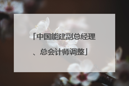 中国能建副总经理、总会计师调整
