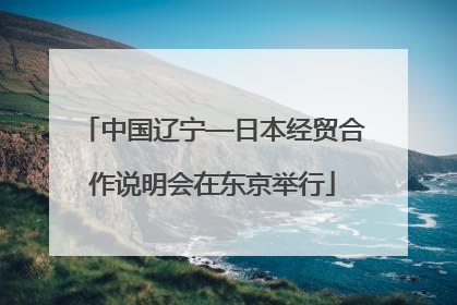 中国辽宁—日本经贸合作说明会在东京举行