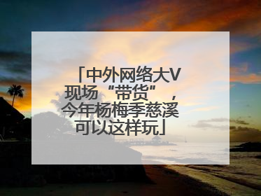 中外网络大V现场“带货”，今年杨梅季慈溪可以这样玩