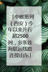 中欧班列（西安）今年以来开行超2500列，多条铁海联运线路连接山东