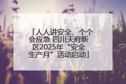 人人讲安全、个个会应急 四川天府新区2025年“安全生产月”活动启动
