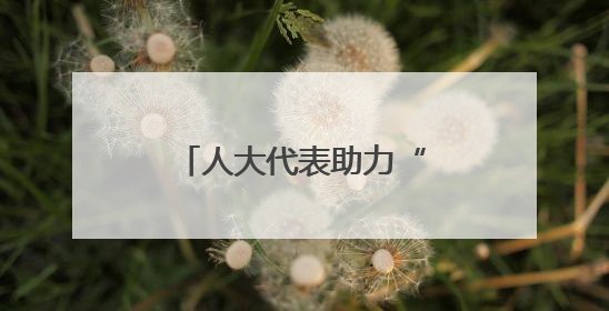 人大代表助力“网红夜市”迎来“公约时代”