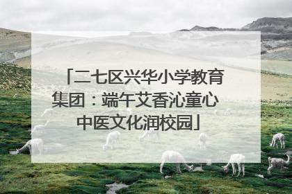 二七区兴华小学教育集团：端午艾香沁童心 中医文化润校园