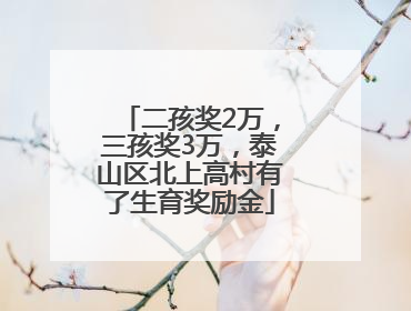 二孩奖2万，三孩奖3万，泰山区北上高村有了生育奖励金