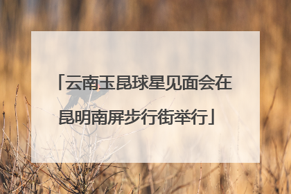 云南玉昆球星见面会在昆明南屏步行街举行