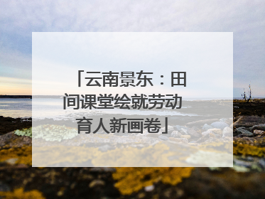 云南景东：田间课堂绘就劳动育人新画卷