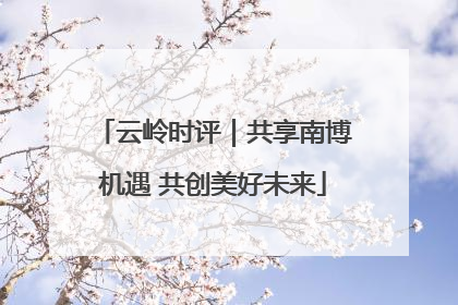 云岭时评｜共享南博机遇 共创美好未来