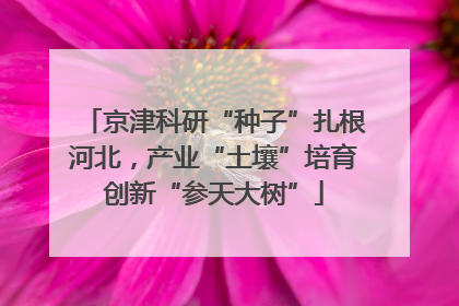 京津科研“种子”扎根河北，产业“土壤”培育创新“参天大树”