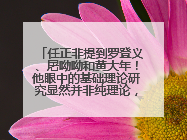 任正非提到罗登义、屠呦呦和黄大年！他眼中的基础理论研究显然并非纯理论，为什么？