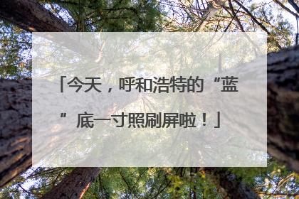 今天，呼和浩特的“蓝”底一寸照刷屏啦！