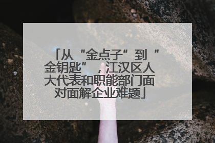 从“金点子”到“金钥匙”，江汉区人大代表和职能部门面对面解企业难题