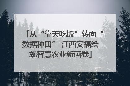 从“靠天吃饭”转向“数据种田” 江西安福绘就智慧农业新画卷