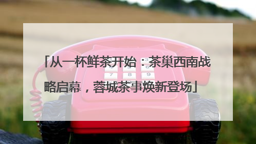 从一杯鲜茶开始：茶巢西南战略启幕，蓉城茶事焕新登场