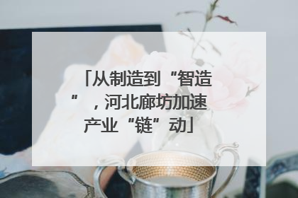 从制造到“智造”，河北廊坊加速产业“链”动