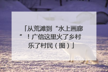 从荒滩到“水上画廊”！广信这里火了乡村 乐了村民（图）