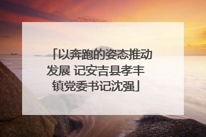 以奔跑的姿态推动发展 记安吉县孝丰镇党委书记沈强