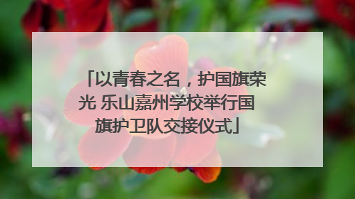 以青春之名，护国旗荣光 乐山嘉州学校举行国旗护卫队交接仪式
