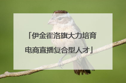 伊金霍洛旗大力培育电商直播复合型人才