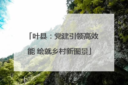 叶县：党建引领高效能 绘就乡村新图景