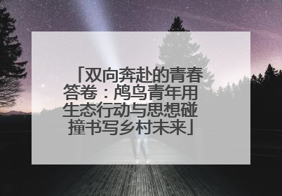 双向奔赴的青春答卷：鸬鸟青年用生态行动与思想碰撞书写乡村未来