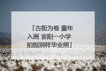 古街为卷 童年入画 襄阳一小学拍摄别样毕业照