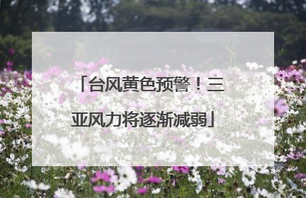 台风黄色预警！三亚风力将逐渐减弱