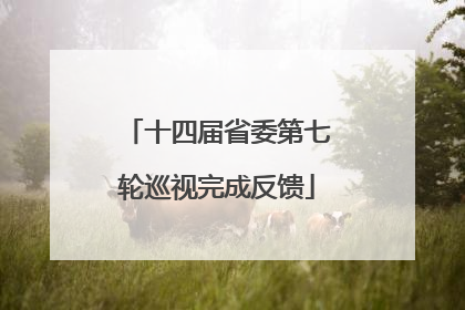 十四届省委第七轮巡视完成反馈