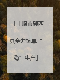十堰市郧西县全力抗旱“稳”生产