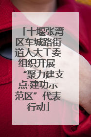 十堰张湾区车城路街道人大工委组织开展 “聚力建支点·建功示范区”代表行动