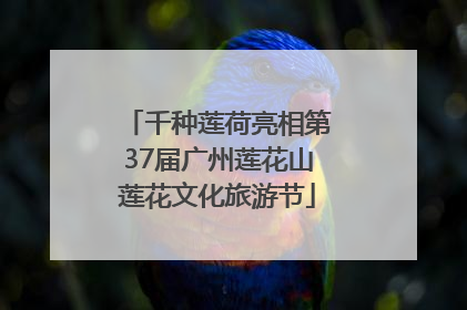 千种莲荷亮相第37届广州莲花山莲花文化旅游节