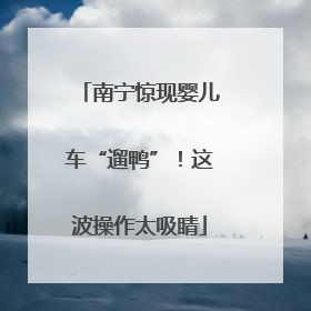 南宁惊现婴儿车“遛鸭”！这波操作太吸睛