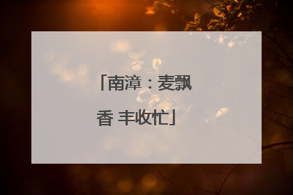 南漳：麦飘香 丰收忙