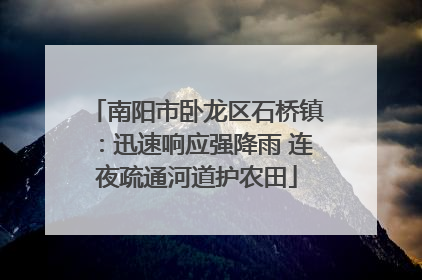 南阳市卧龙区石桥镇：迅速响应强降雨 连夜疏通河道护农田