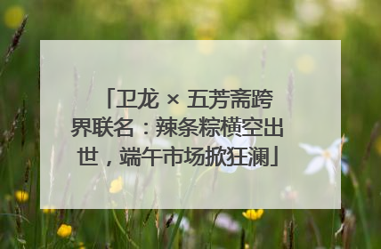 卫龙 × 五芳斋跨界联名：辣条粽横空出世，端午市场掀狂澜