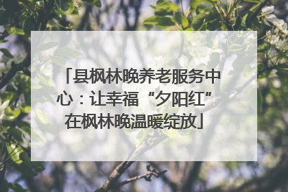 县枫林晚养老服务中心：让幸福“夕阳红”在枫林晚温暖绽放