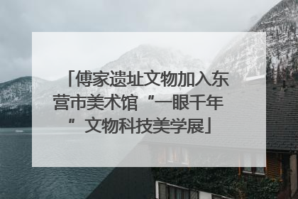 傅家遗址文物加入东营市美术馆“一眼千年”文物科技美学展