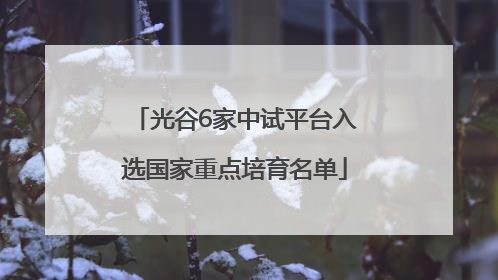 光谷6家中试平台入选国家重点培育名单
