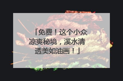 免费！这个小众凉爽秘境，溪水清透美如油画！