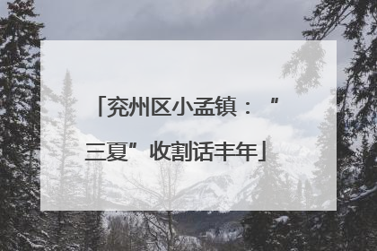 兖州区小孟镇：“三夏”收割话丰年