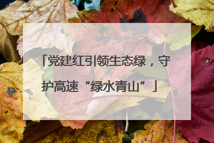 党建红引领生态绿，守护高速“绿水青山”