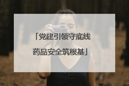 党建引领守底线 药品安全筑根基